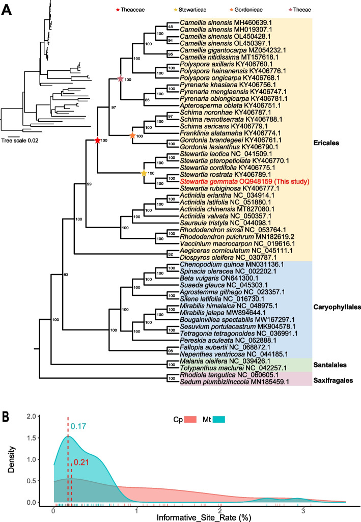 Fig. 7