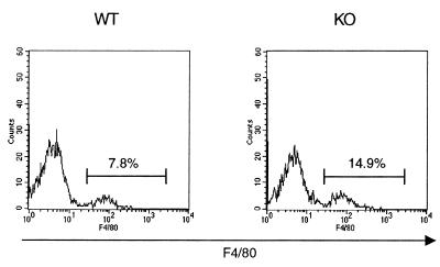 FIG. 8.