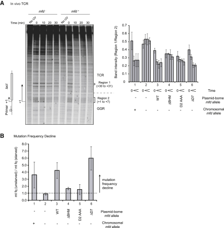 Figure 4