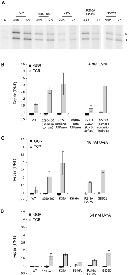 Figure 6