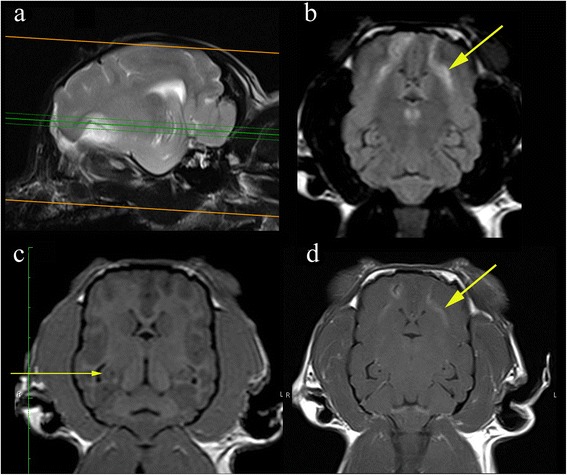 Fig. 10