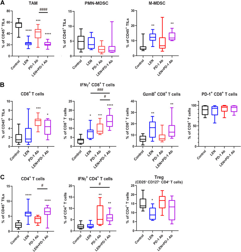 Figure 2. Immunomodulatory activity of lenvatinib, anti-PD-1 mAb, and lenvatinib plus anti-PD-1 mAb in RAG tumors. Mice bearing RAG tumors were allocated into treatment groups on day 1—when TVs were approximately 80 and 110 mm3 (two independent experiments)—and treated with lenvatinib at 10 mg/kg once daily or anti-PD-1 mAb at 10 mg/kg twice weekly (or both) for 2 weeks; tumors were resected on day 15. CD45+ TILs were isolated from tumor tissue, and populations of immune cells were analyzed by flow cytometry. The gating strategy is shown in Supplementary Fig. S3. A, Percentages of TAM, PMN-MDSC, and M-MDSC in CD45+ TILs. B, CD8+ T-cell populations. Percentages of CD8+ T cells in CD45+ TILs, IFNγ+ CD8+ T cells, GzmB+ CD8+ T cells, and PD1+ CD8+ T cells in CD8+ T cells. C, CD4+ T-cell populations. Percentages of CD4+ T cells in CD45+ TILs, IFNγ+ CD4+ T cells, and Treg (CD25+ CD127− CD4+ T cells) in CD4+ T cells. *, P < 0.05; **, P < 0.01; ***, P < 0.001; ****, P < 0.0001 versus control group; #, P < 0.05; ###, P < 0.001; ####, P < 0.0001 versus combination treatment group (Dunnett multiple comparison test). Data were combined from two independent experiments (n = 10). LEN, lenvatinib; Treg, regulatory T cells.