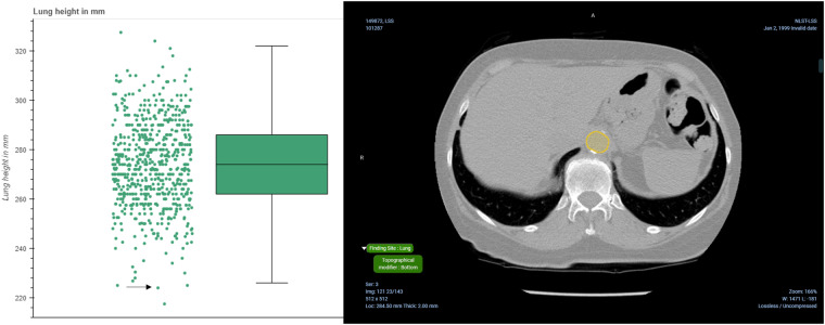 Fig. 8