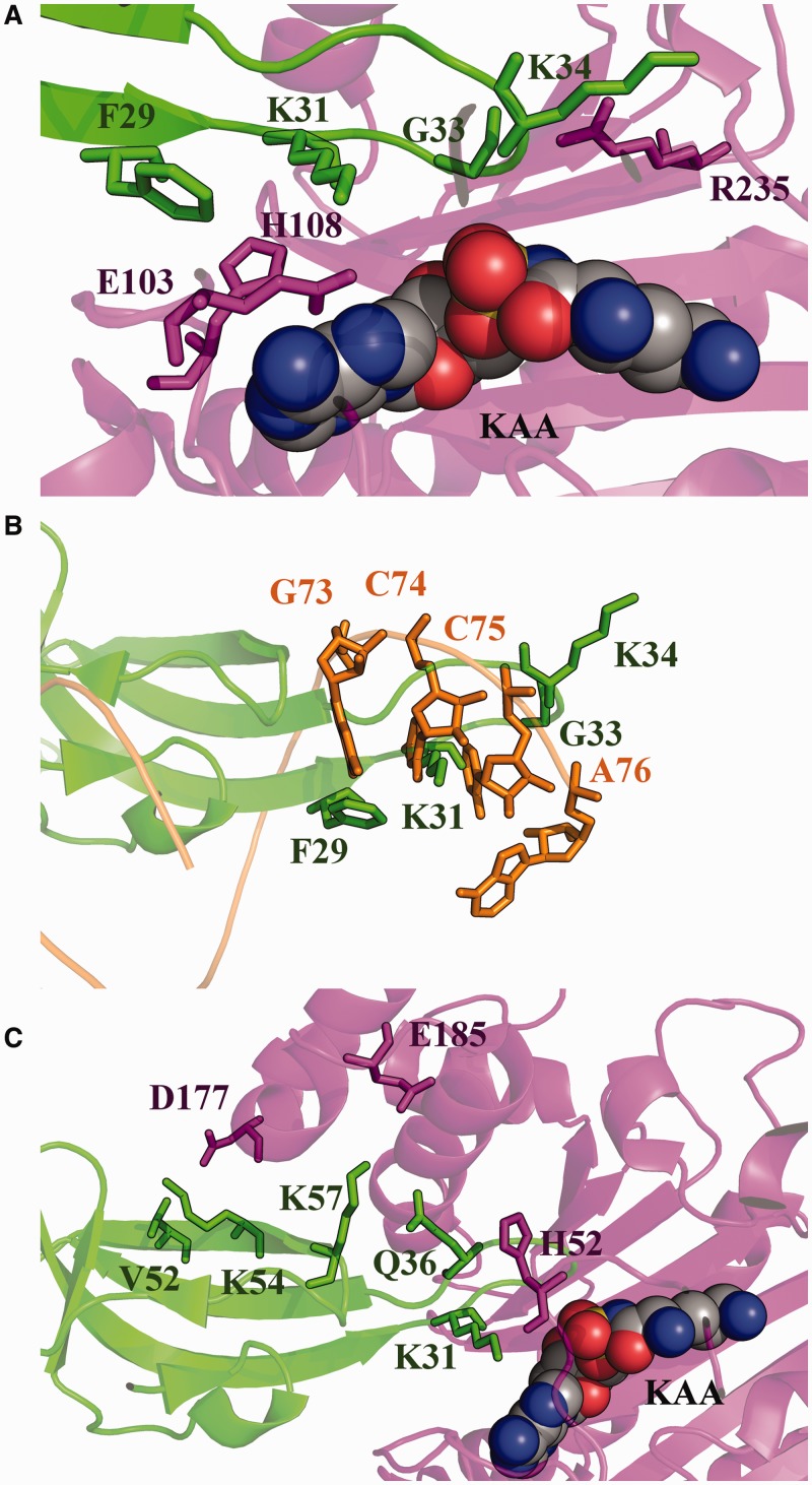 Figure 2.