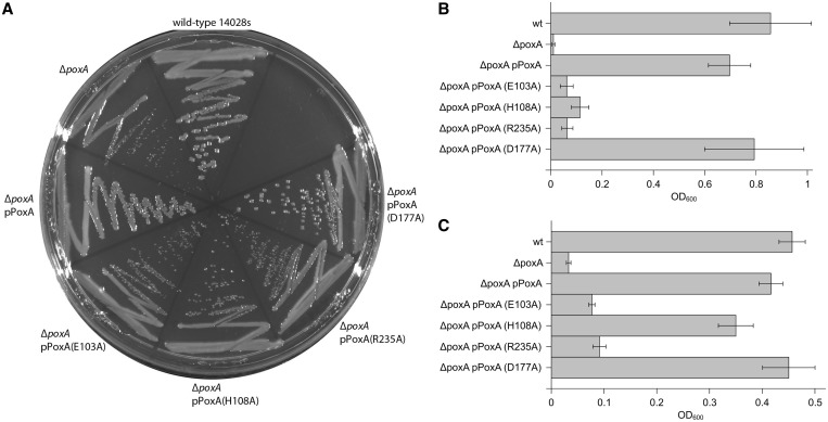 Figure 6.