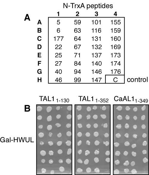 FIG. 5.