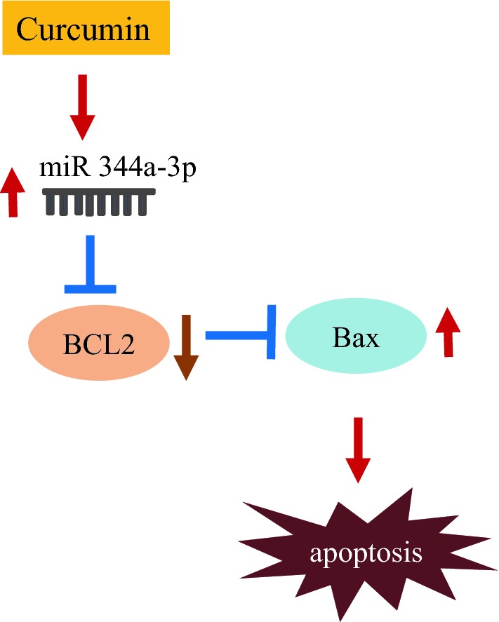 Fig. 6