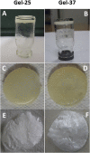 Figure 3