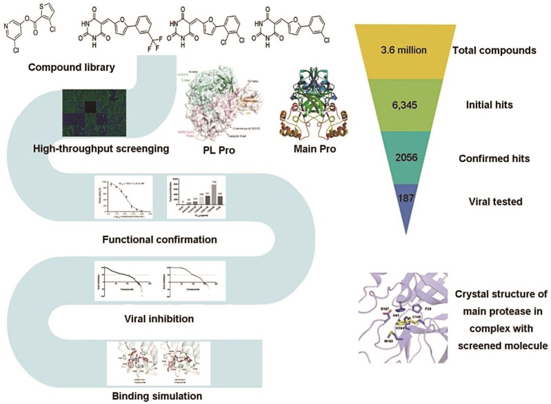 Graphical Abstract