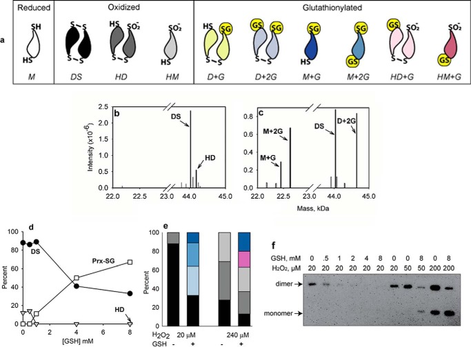 FIGURE 1.