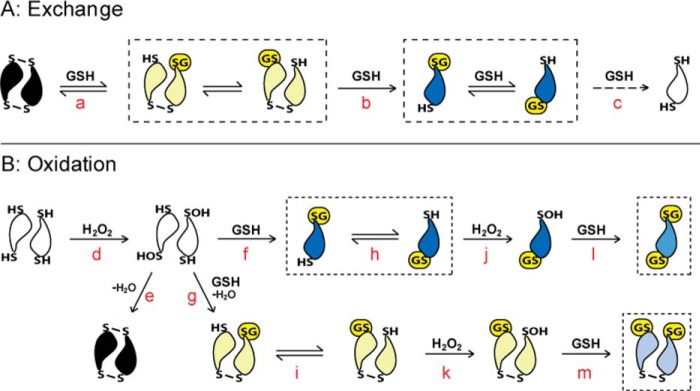 FIGURE 7.