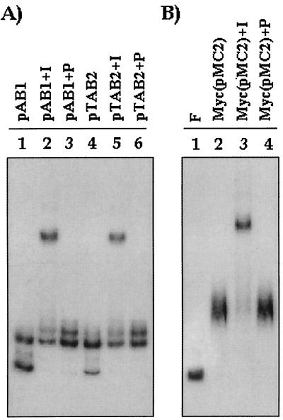 FIG. 7.