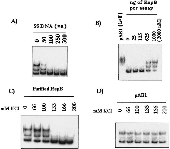 FIG. 5.