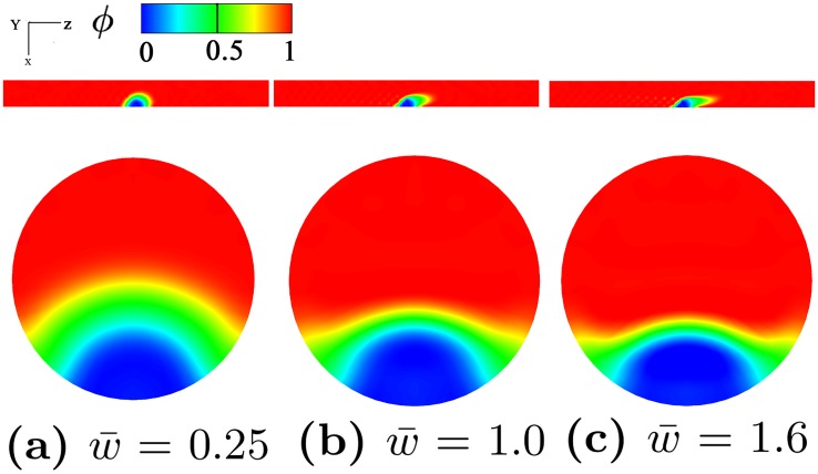 Fig 6