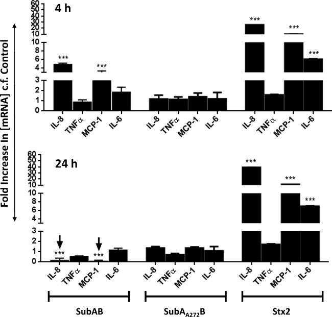 FIG 6