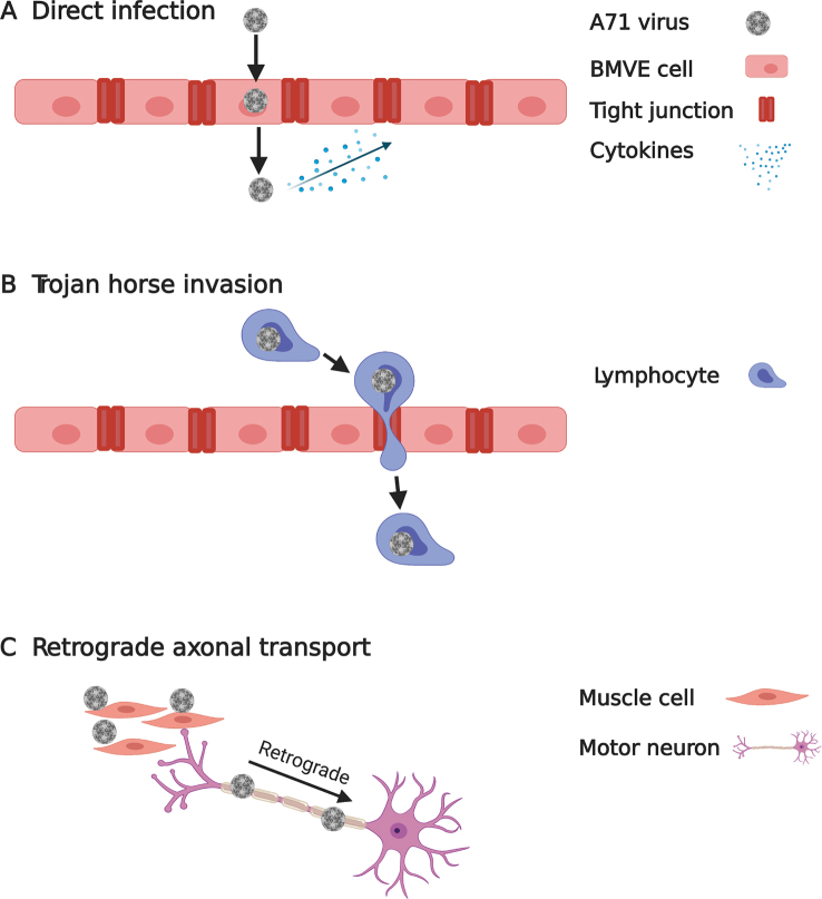 Figure 2