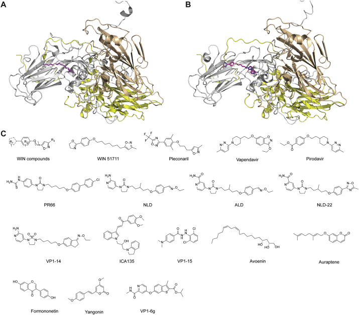 Figure 3