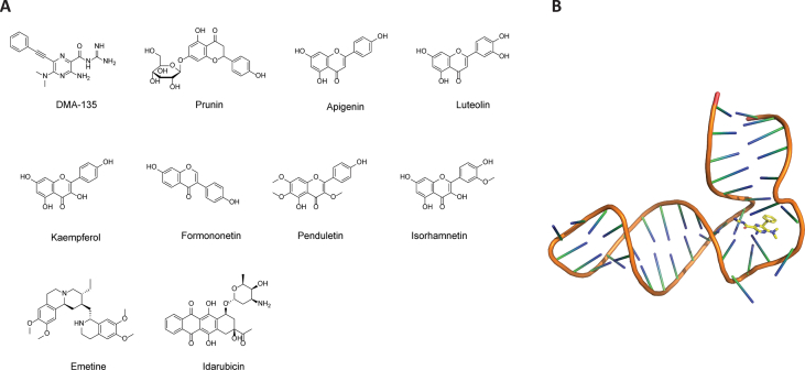 Figure 11