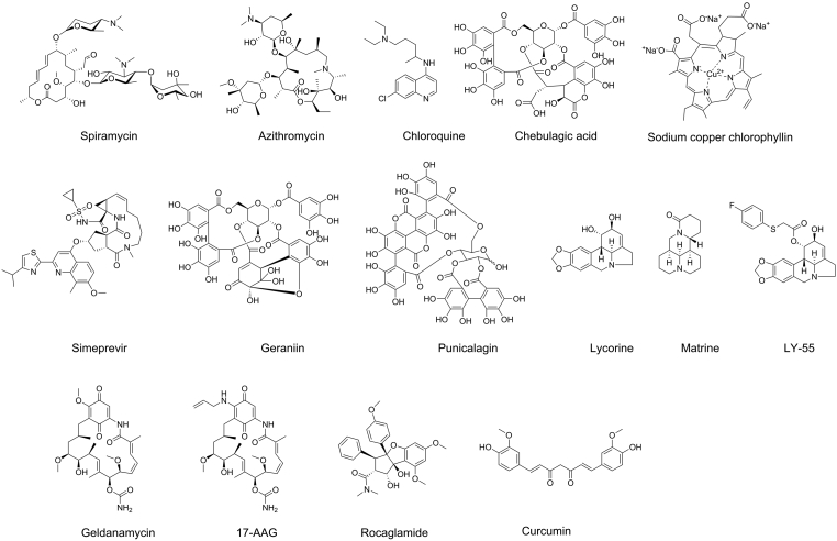 Figure 13