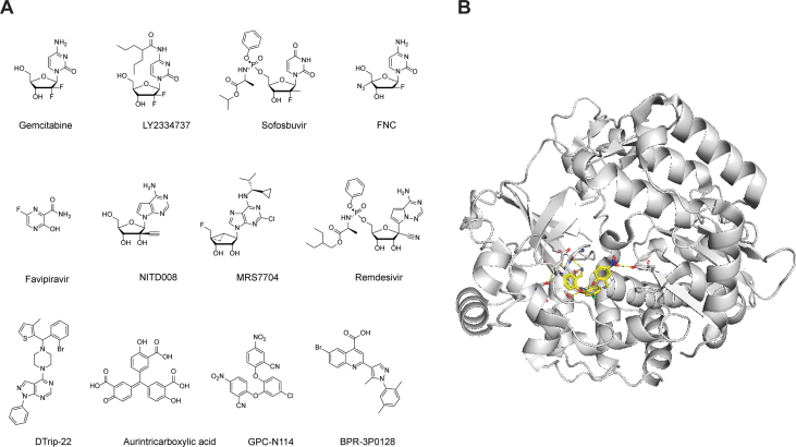 Figure 10