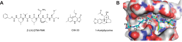 Figure 5