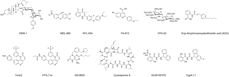 Figure 12