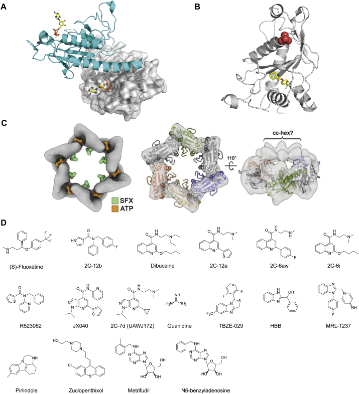 Figure 7