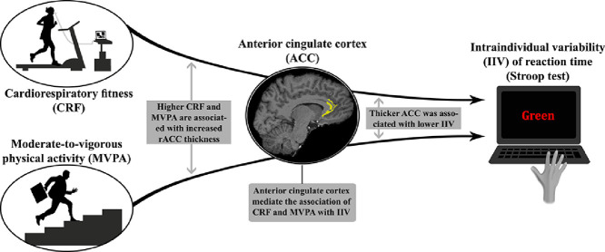 Image, graphical abstract