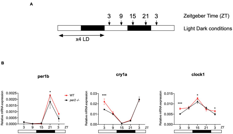 FIGURE 3