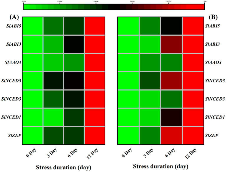 Figure 11