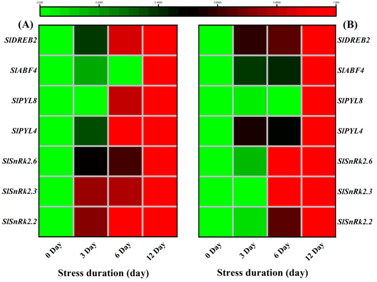 Figure 12