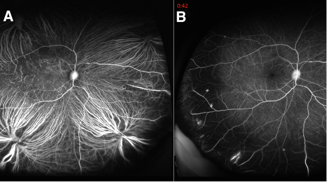 Figure 3