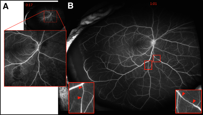 Figure 5