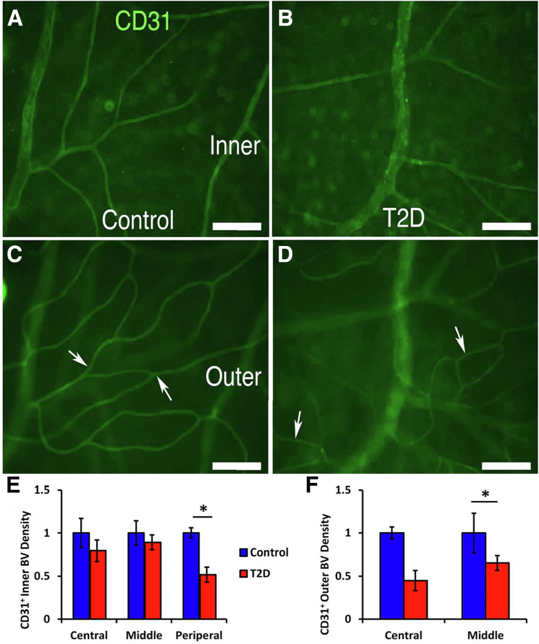 Figure 7