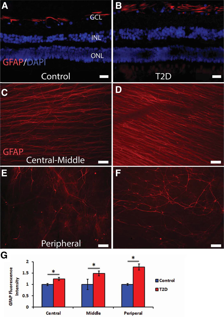 Figure 10