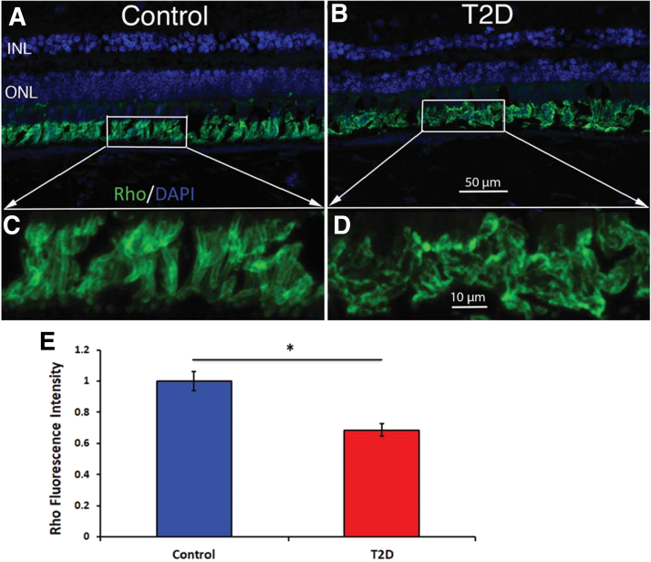 Figure 13