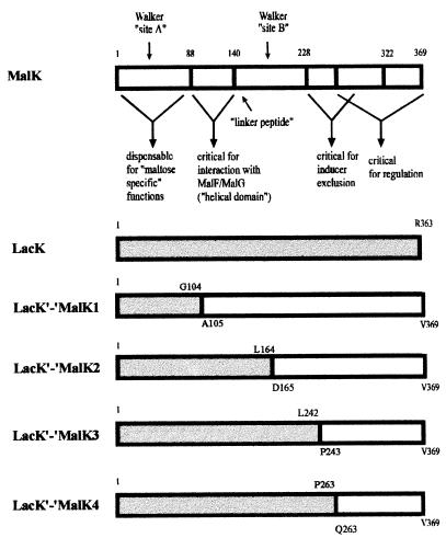 FIG. 5