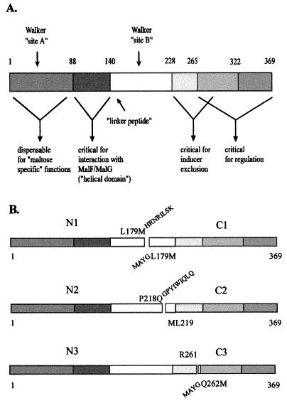 FIG. 1