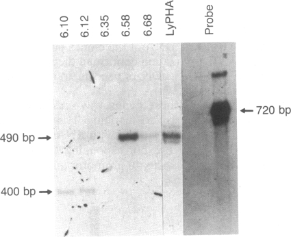 graphic file with name pnas00274-0353-a.jpg