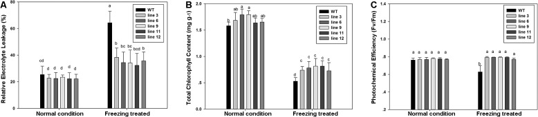 Fig 6