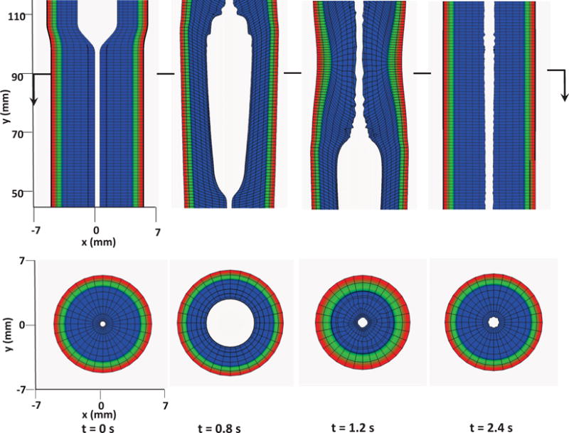 Fig. 7