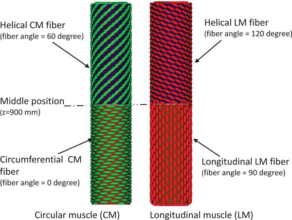 Fig. 13