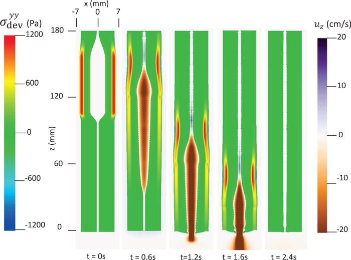 Fig. 9