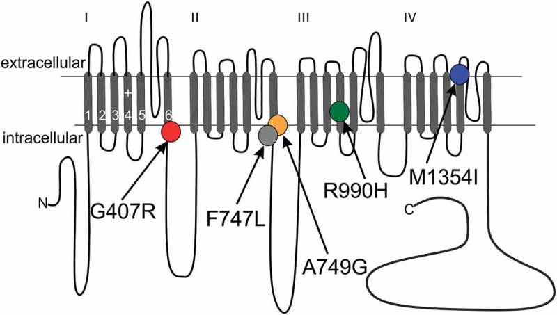 Figure 1.