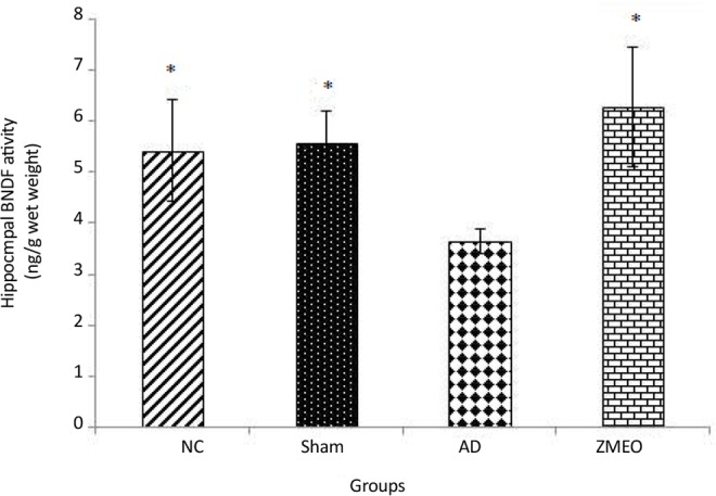 Figure 10.