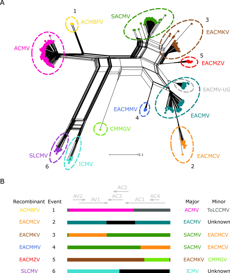 FIG 1