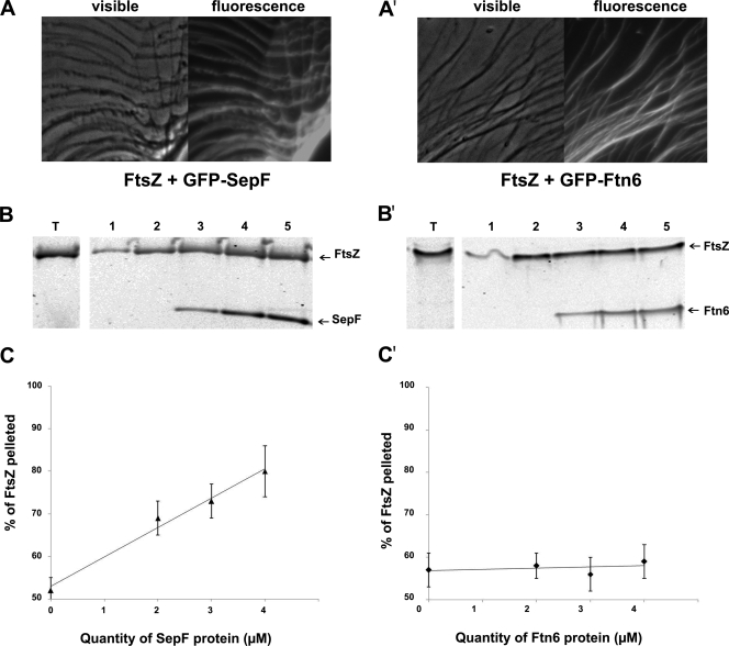 FIG. 4.