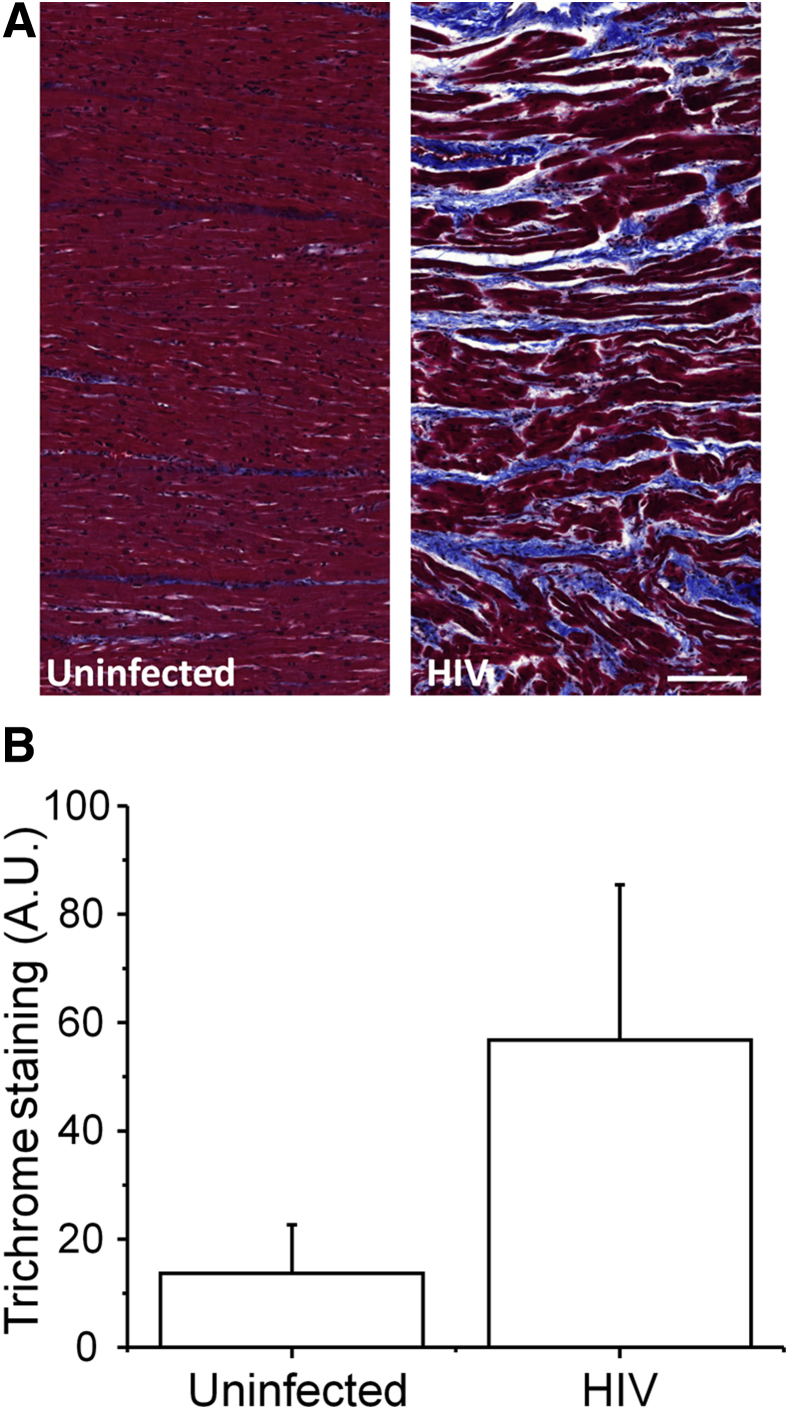 Figure 6