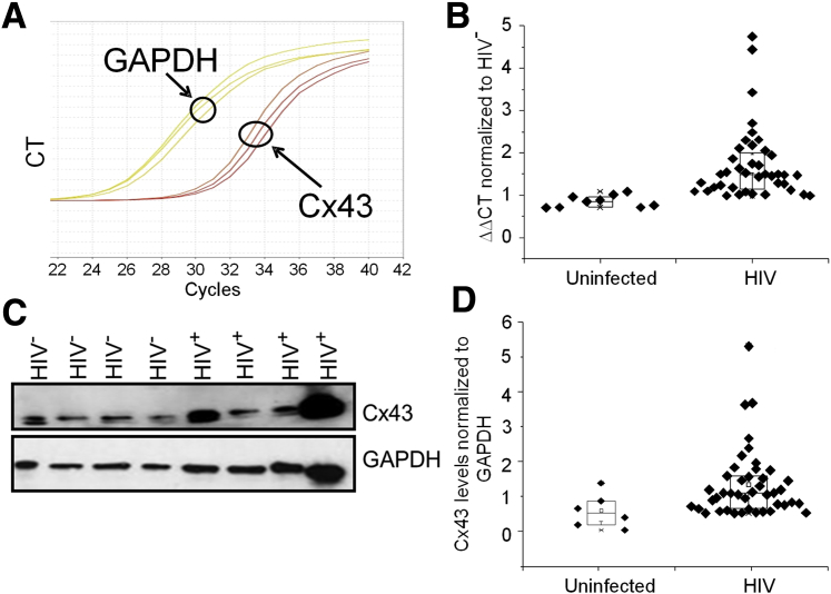 Figure 3