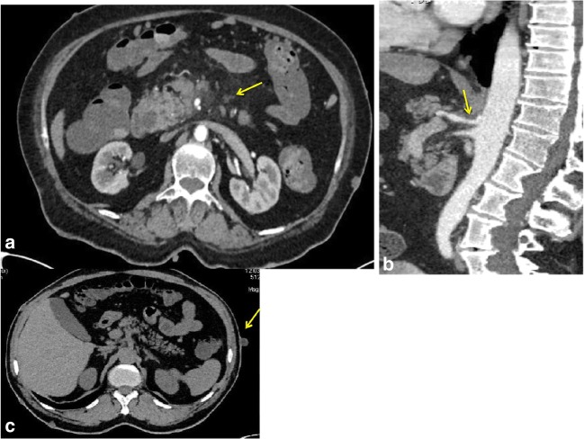 Fig. 7